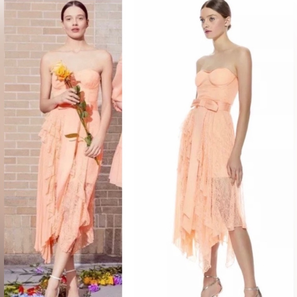 Alice + Olivia Bree Ruffle Lace Bustier Dress Light Peach NWT